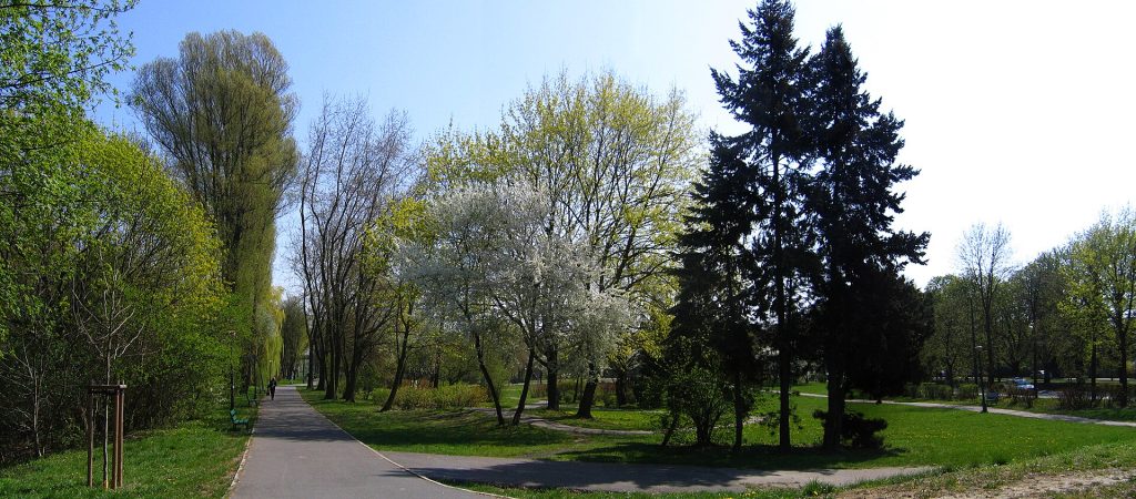 Sołacz Park Wodziczki